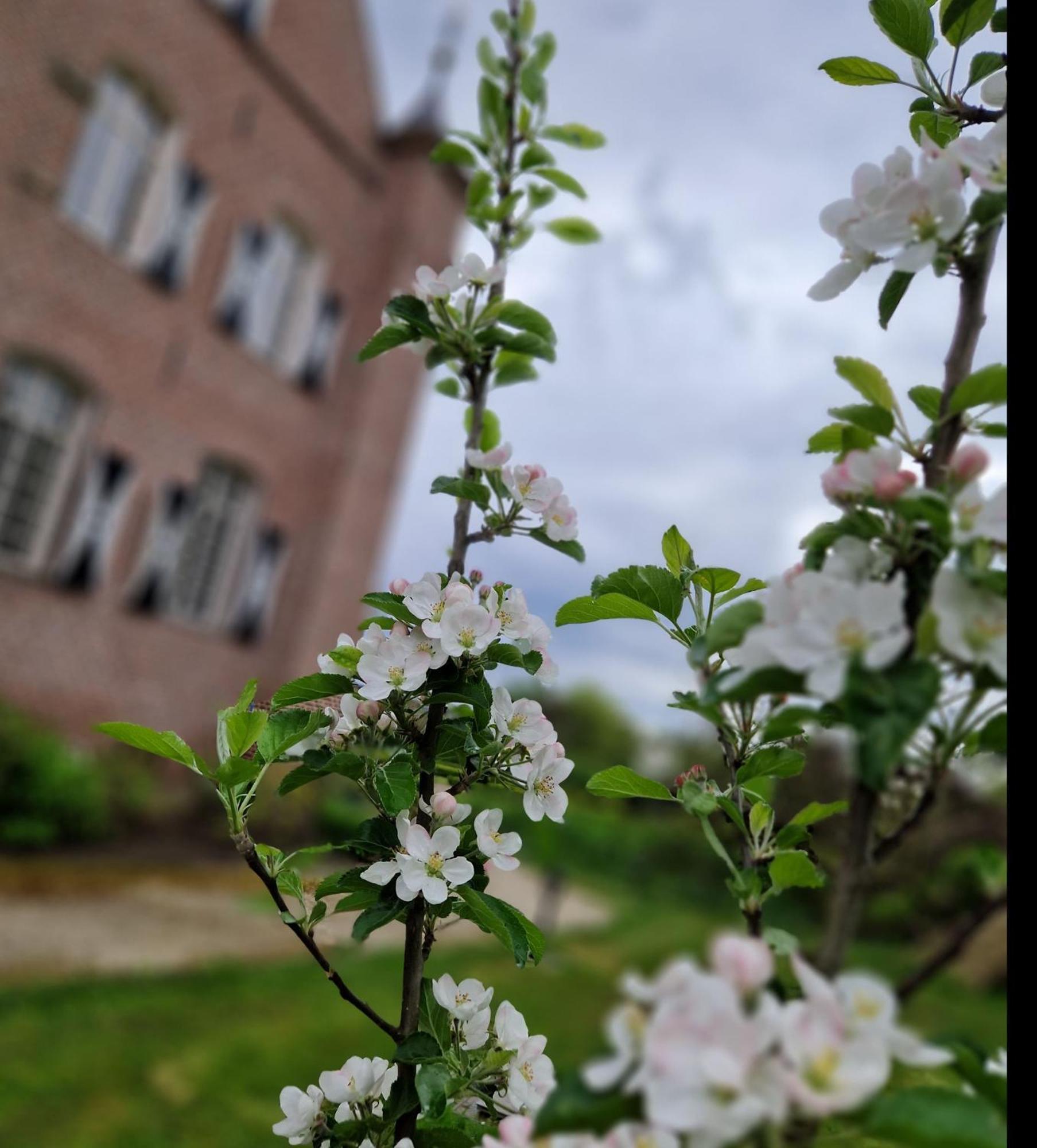 Kasteel Aldenghoor Bed & Breakfast Haelen ภายนอก รูปภาพ